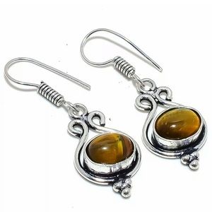 Tigers Eye 👁  Dangle Earrings